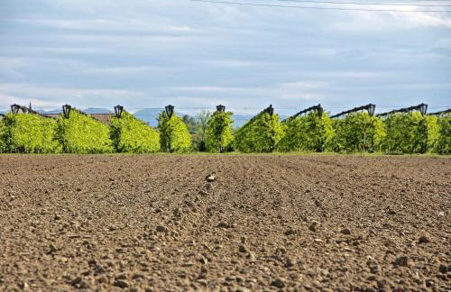 Palazzo Minelli - Foto 60