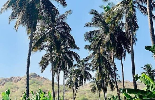 Villa Santa Cruz Santiago - Foto 7