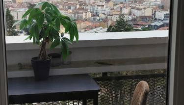 3 Chambres 3 Salles de bain Vue panoramique Lyon - Photo 5