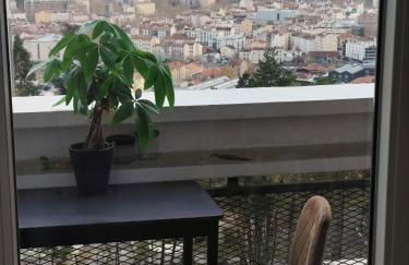 3 Chambres 3 Salles de bain Vue panoramique Lyon - Photo 5