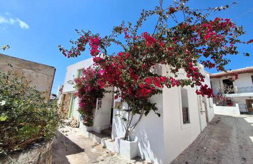 LILIUM HOUSE PALEKASTRO - Foto 1