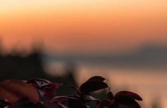 VILLA PARADISE - Foto 12