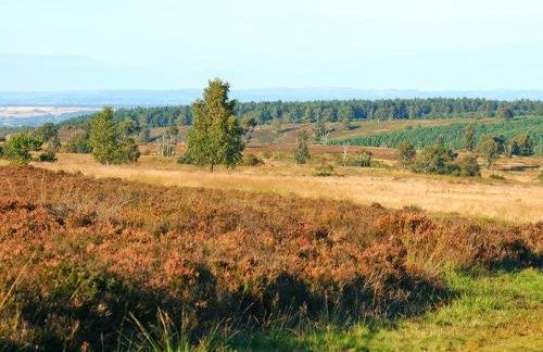 Cannock Chase - Foto 25