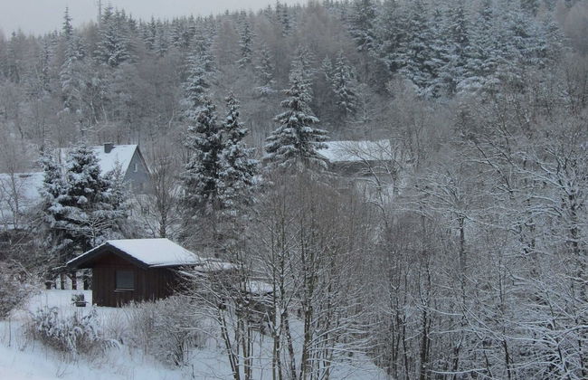 Garden-view Villa in Medebach Kustelberg - Foto 25