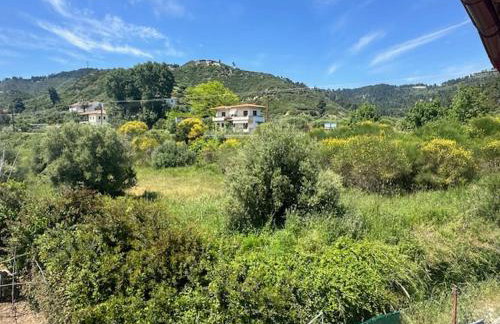 House Nativa - Foto 39