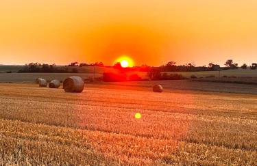 Seeidyll Potzlower See - Foto 21