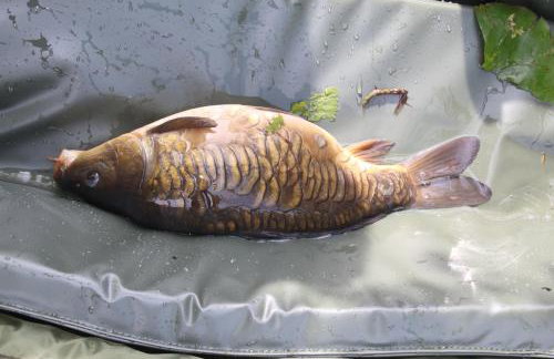 Waterside Lodges Cambridge - Foto 58