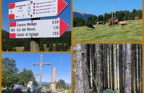 Altopiano di Asiago Apartment - Foto 20