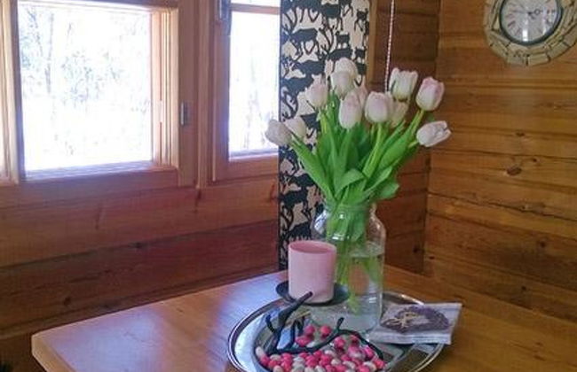 Kuivajärven huvilakoti - Foto 13