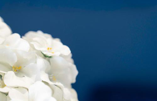 Linden House - Foto 21