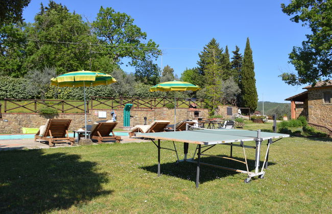 A spasso tra gli ulivi - Foto 43