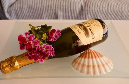 Atico lujo primera linea, terraza, piscina, parking - Foto 17