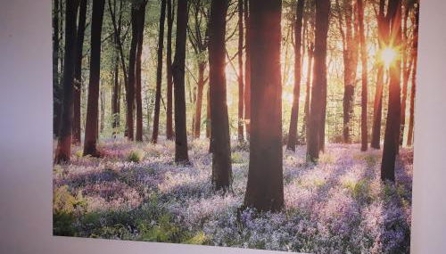 Heidehaus Hodenhagen - Foto 2