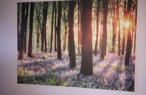 Heidehaus Hodenhagen - Photo 2