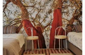 4Bs - Birds & Bicycles - Foto 8