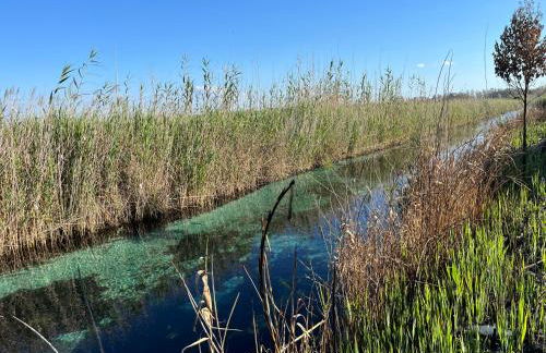 La villetta di Spiaggiabella - Foto 44