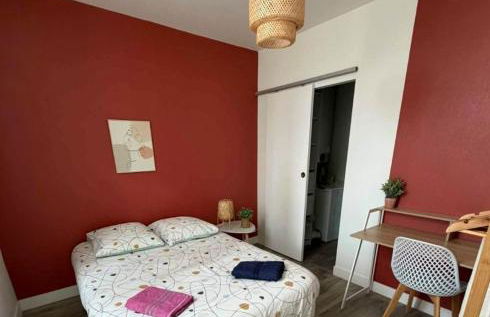 Appartement centre d'Orléans en bord de Loire - Foto 5