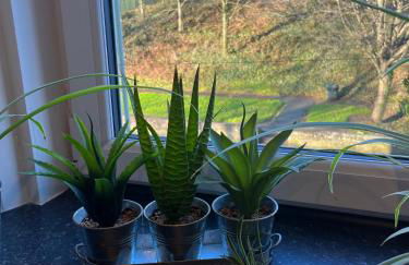 Cherrybank apartment - Photo 16