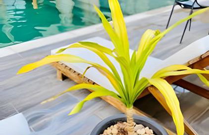 Aconchegante Studio no Patacho - Foto 50