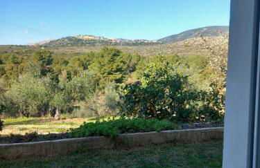 4T apartments - Foto 65