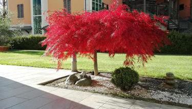 APPARTAMENTO ACERO - 2 min walk to Bernina Express - 150metri - Foto 2