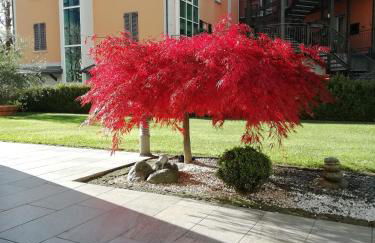 APPARTAMENTO ACERO - 2 min walk to Bernina Express - 150metri - Foto 2