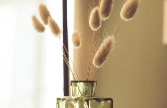 La Villa Célestine - Foto 18