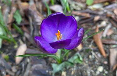 Résidence Terra Théa - Foto 104