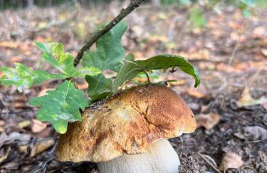 Przystanek Prawdowo - Foto 65