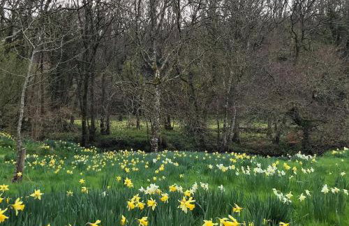 Characterful, Cosy Dartmoor Cottage - Foto 22