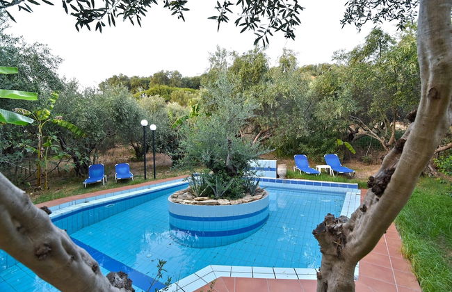 Olive Farm - Foto 33