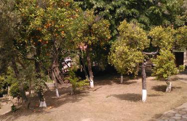 Traditional stone house in Pelion - Photo 7