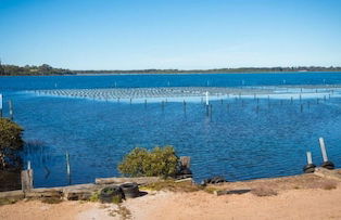 Top of the Lake Units - Foto 49