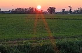 Agriturismo Carne Sicura - Foto 60