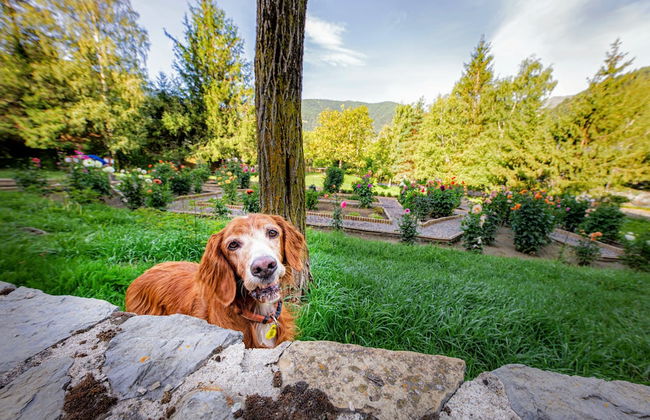 Apartaments Giberga - Foto 48