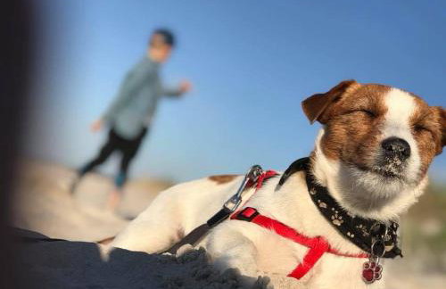 Apartamenty Marszallówka - Foto 24