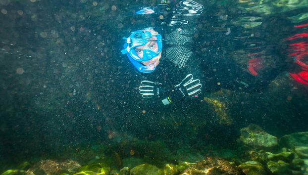 Snorkeling dans le parc naturel du Détroit de Gibraltar