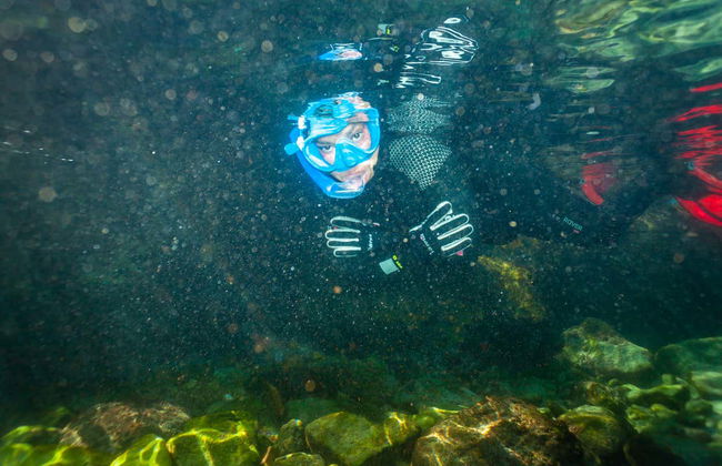 Snorkeling dans le parc naturel du Détroit - Photo 5