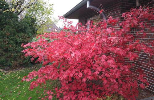 Ferienwohnung StrandGut - Foto 4