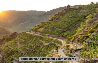 Das besondere Ferienhaus nähe Nürburgring - Foto 30