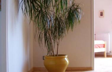 Maison familiale avec vues et espaces de jeux - Foto 10