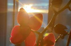 La Casita de la Charca - Foto 13