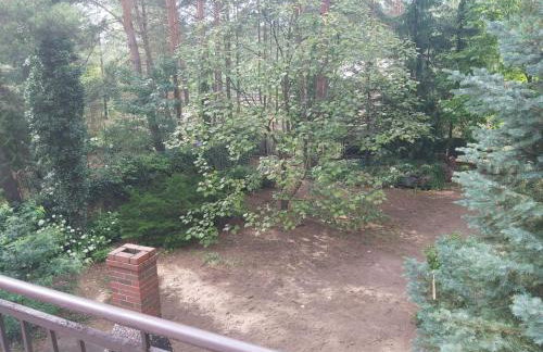 Tuczno Dom w lesie - Foto 16