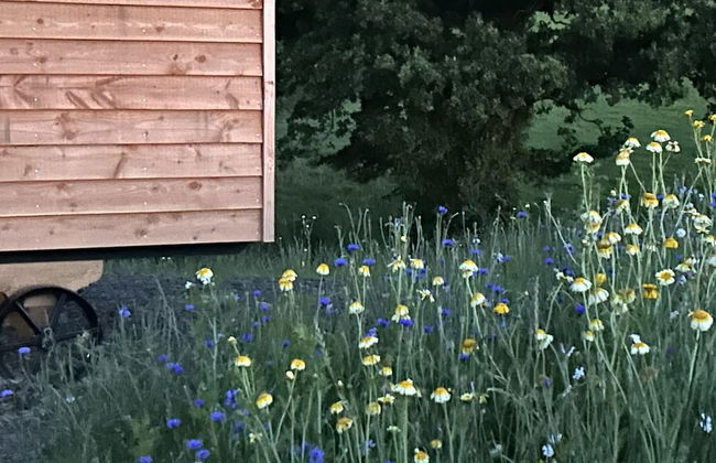Cosy Devon Hut With Private Hot Tub - Foto 25