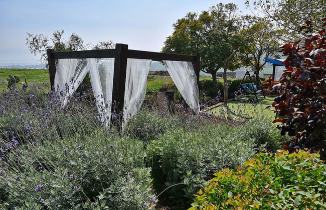 Mul Kineret Suites - Photo 35