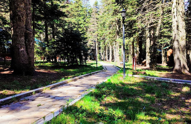 Karinna Forest Houses - Foto 57