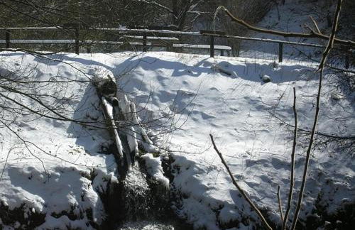 Chalet in Reinskopf with Fireplace & Balcony - Foto 35