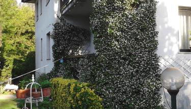 L'Erbetta fra le Cinque Terre e la Val di Vara - Foto 5