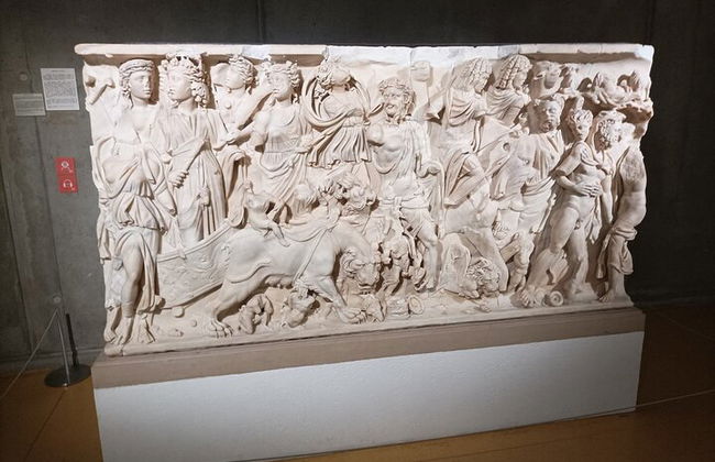 Tour privado de Lyon en la colina de Fourvière - 2 horas - Foto 11