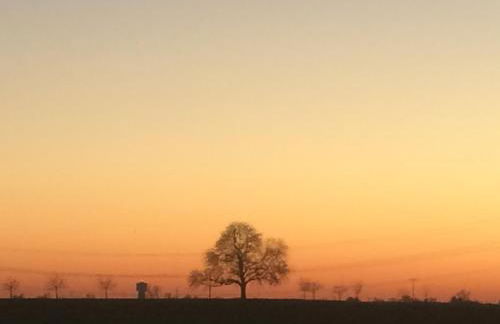 Alte Heimat - Foto 24